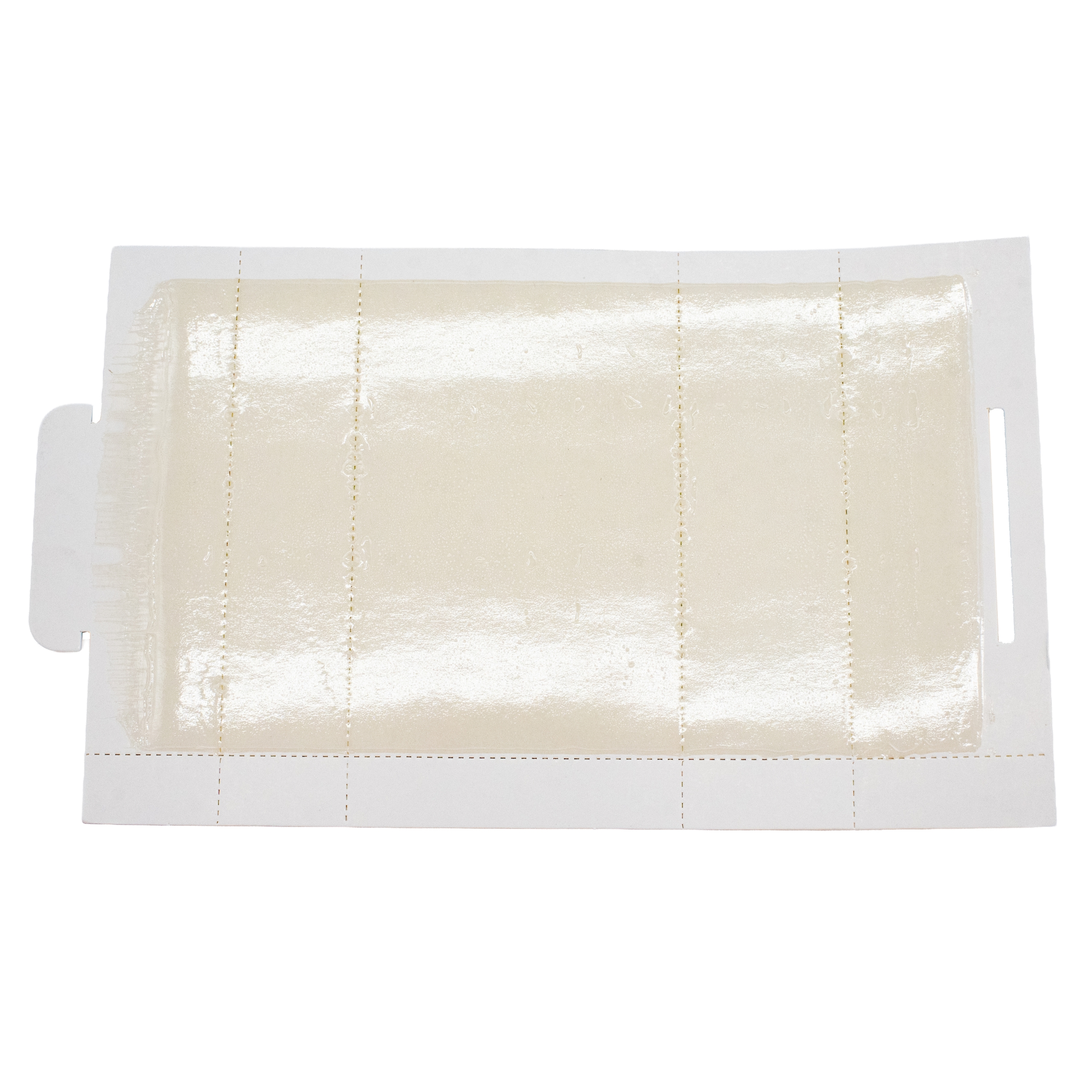 Pest Catchers™ Glue Board - Image 2