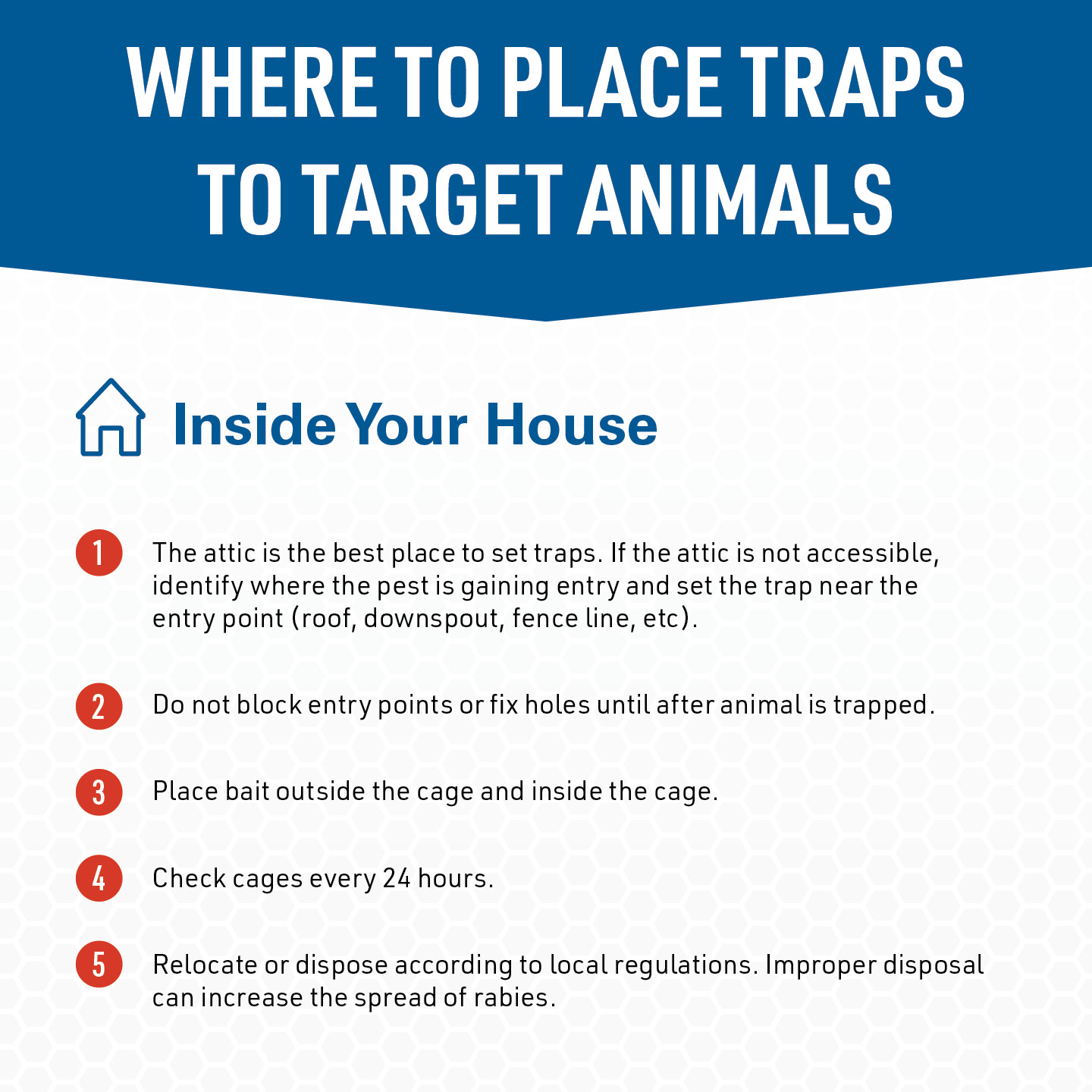 Answer® Trap for Chipmunks, Rats, Voles & Other Small Pests - Image 3
