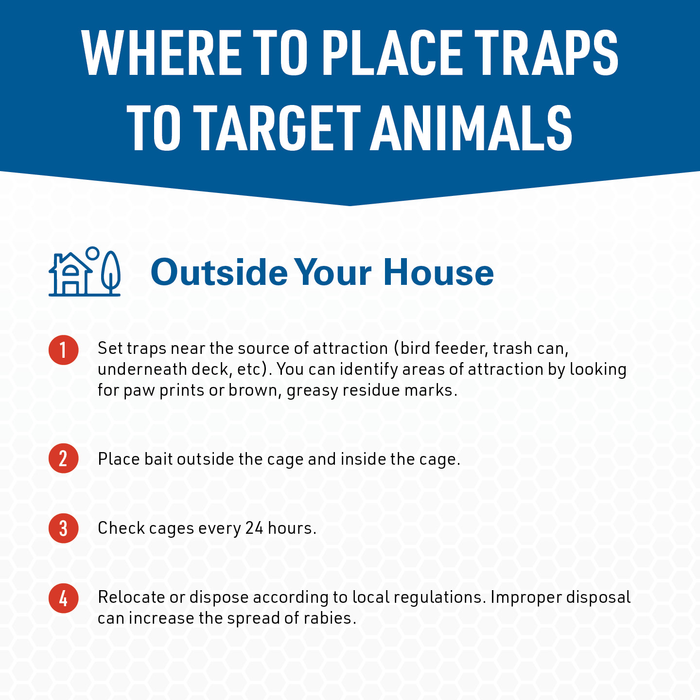 Answer® Trap for Chipmunks, Rats, Voles & Other Small Pests - Image 4