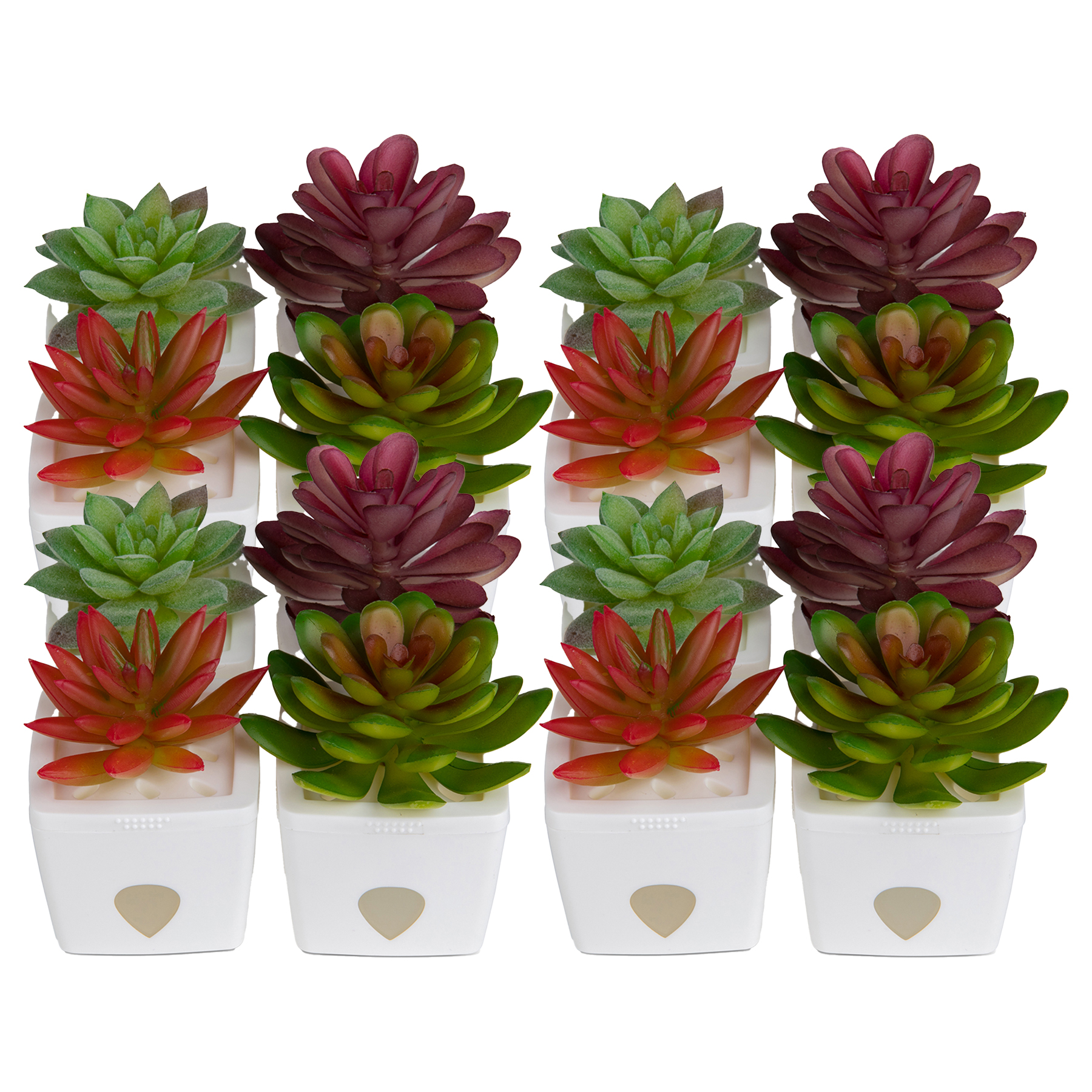 ZendoZones Bulk Fruit Fly Traps with Lure, White