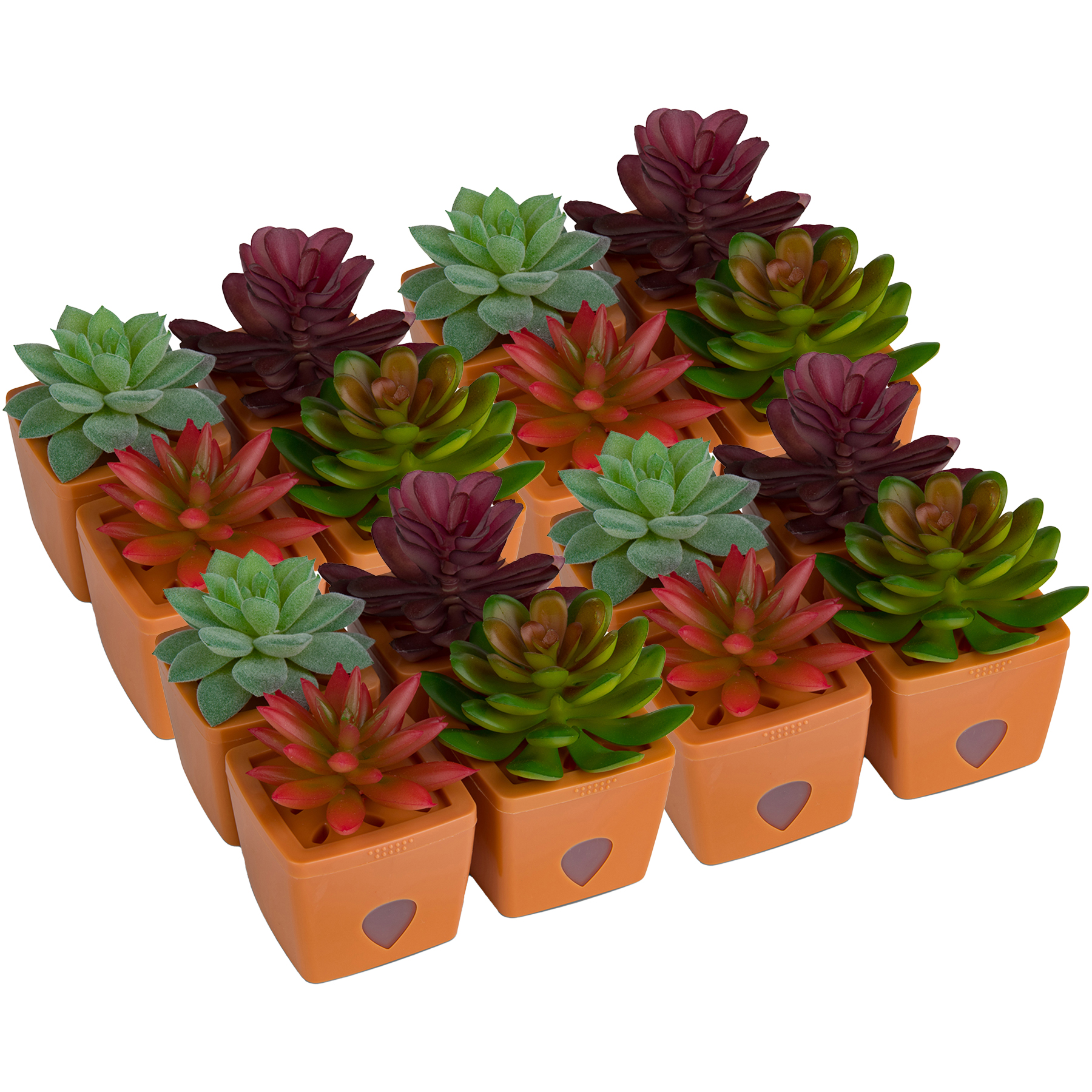 ZendoZones Bulk Fruit Fly Traps with Lure, Terracotta