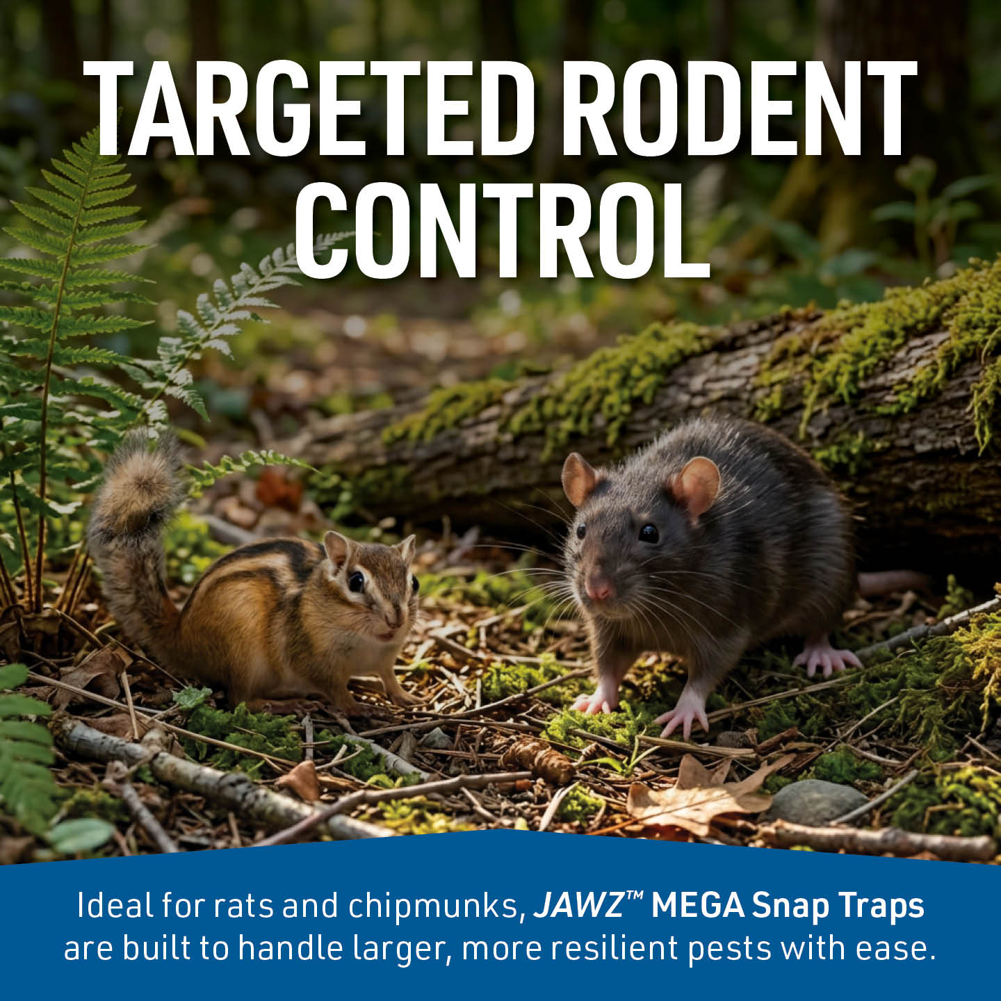JAWZ™ MEGA Rat and Chipmunk Traps, Bulk - Image 7